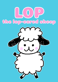 LOP the lop-eared sheep