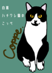 Black and White cat Coppe(Theme)