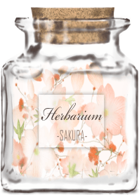 Herbarium -SAKURA-