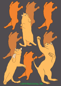 Orange cat wearing a crown