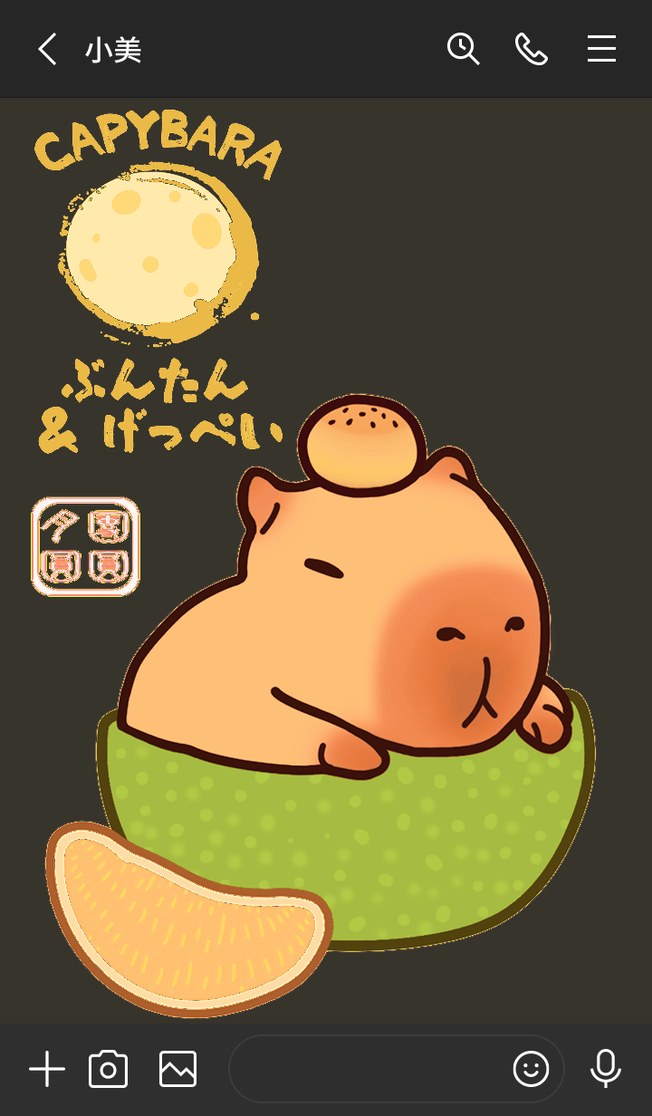 preview_003_720x1232