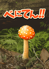 Beni-ten!!