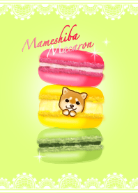 macaron shiba dog (brown)