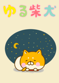 Shiba inu Yuru Cute Adult