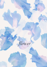 Sweet pea, full of clarity.13.