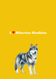 I love Siberian Huskies yellow