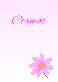 Flower series Cosmos