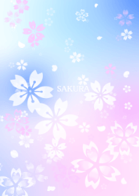 Cherry blossoms-Sakura-