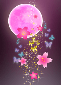 Eight*Butterfly #201 SAKURA