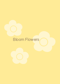 Bloom Flowers