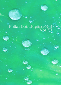 Polka Dots Photo#3-3Not AI