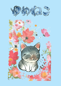 Dream cat