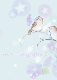 Sparrows and morning glories