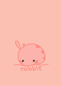 Rabbit (staring-2)