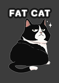 Fat cat - Black White cat l