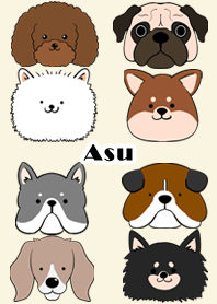 Asu Scandinavian dog style