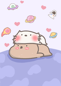 lazy bear and cat in space