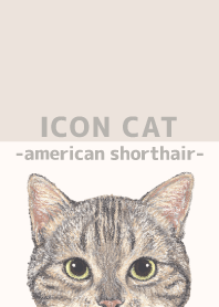 ICON CAT - American Shorthair - BEIGE/02