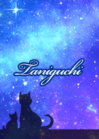 Taniguchi Milky way & cat silhouette