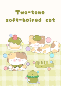 Two-tone soft-haired cat3