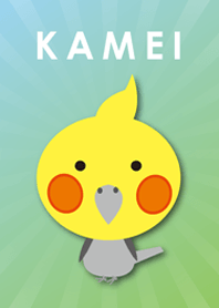 CUTEBIRDI (KAMEI/green)