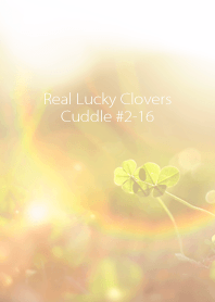 Real Lucky Clovers Cuddle #2-16