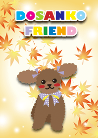 RUBY&FRIEND [toy poodle/apricot] Autumn