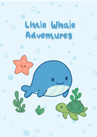 Little Whale Adventures