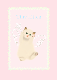 Tiny kitten2