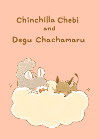 Chinchilla Chebi and Degu Chachamaru*