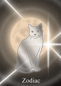 Zodiac cat and moon JPN
