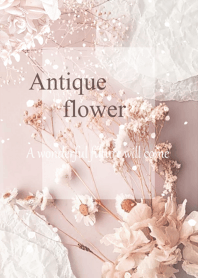 World of Antique Dried Flower4