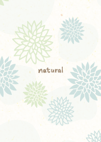 Dull color Japanese flower13 from Japan