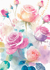 Beautiful rose flower(R4362)