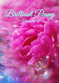 Brilliant Peony