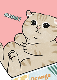 neko single19 / coral