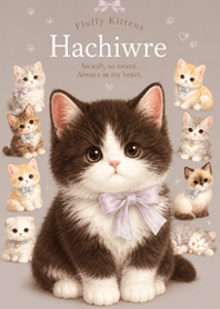 brown Fluffy Hachiware Kitten
