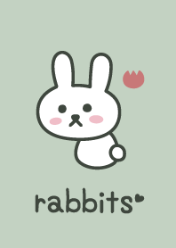 兔子*綠色*郁金香