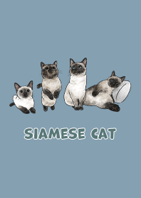 siamesecats3 - pale blue