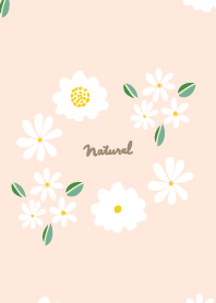 Small white flower cute22 from Japan