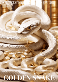White snake and gold  Lucky 072
