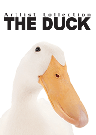 Artlist Collection THE DUCK