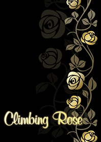 Climbing Rose*Black & Gold
