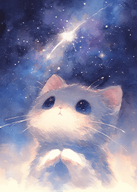 貓咪看著閃耀流星❤️