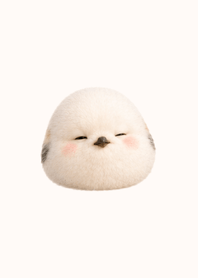 Fluffy, Soft, and Snoozing Animals1