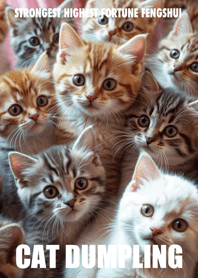Cat dumpling 16