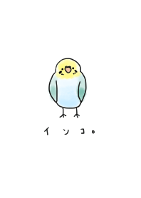 インコの着せ替え。