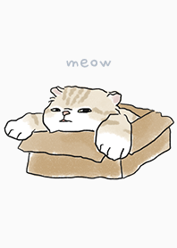 neko drawing4 / white