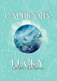 CAPRICORN SIGN LUCKY COLOR & STONE