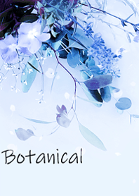 natural botanical.3.